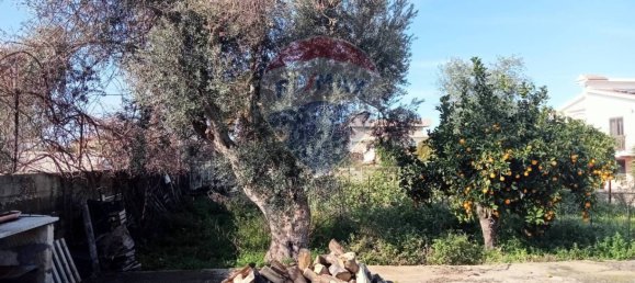 5غرفة عقار تجاري في Augusta, Italy رقم 57496 32