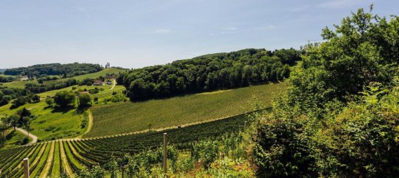 5-Zimmer Haus in Straß in Steiermark, Austria, Nr. 174022 11