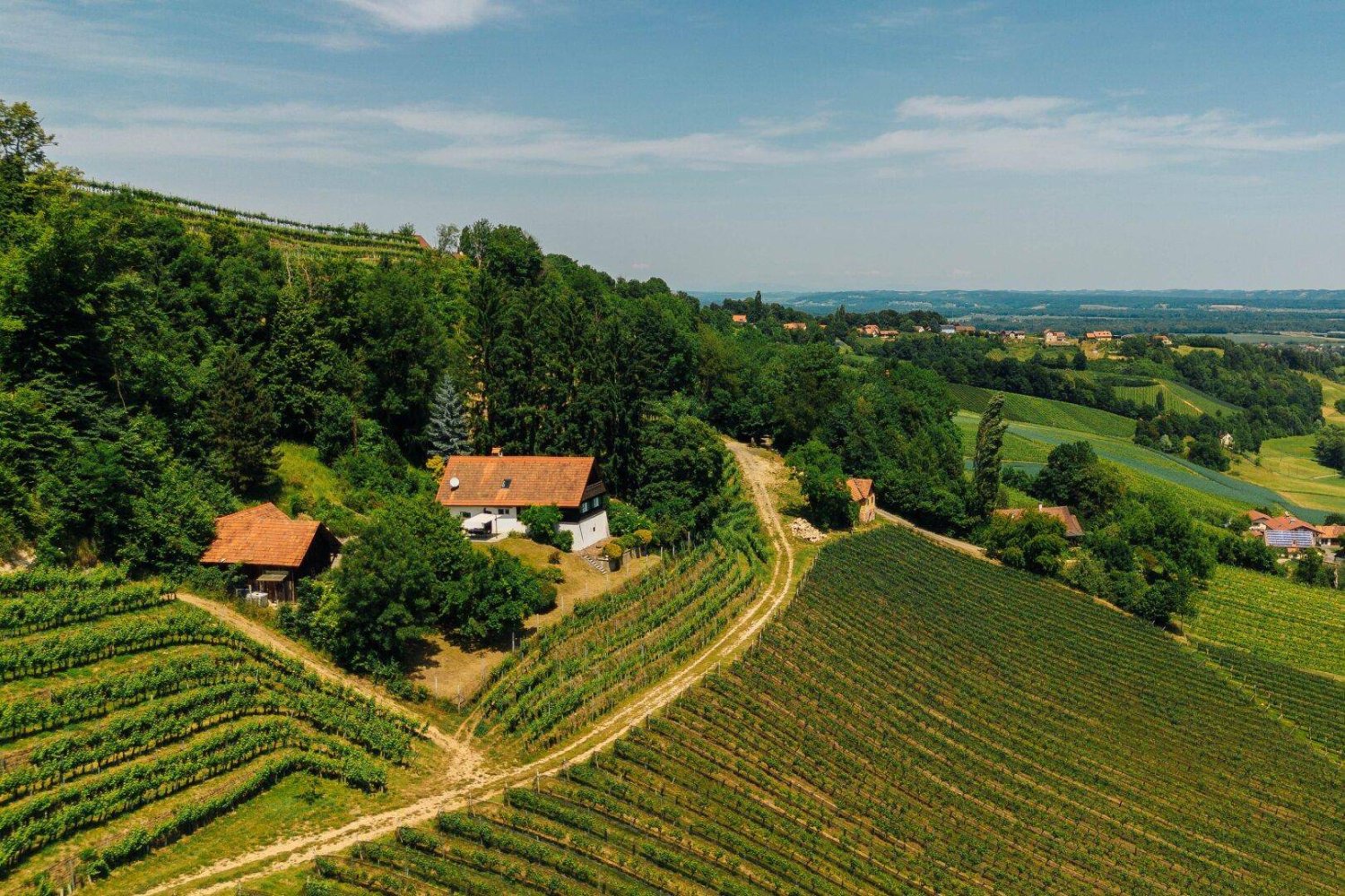 5-Zimmer Haus in Straß in Steiermark, Austria, Nr. 174022