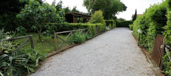 1 bedroom Apartment in Cecina, Italy No. 65296 14