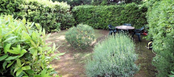 1 bedroom Apartment in Cecina, Italy No. 65296 16