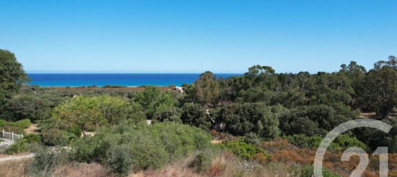 4 bedrooms House in Belgodere, France No. 270571 20