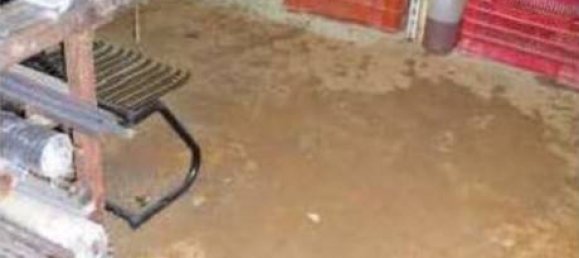 4 bedrooms Apartment in Caramanico Terme, Italy No. 100521 24