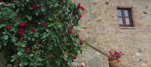 19 rooms Villa in Casole d'Elsa, Italy No. 233147 6