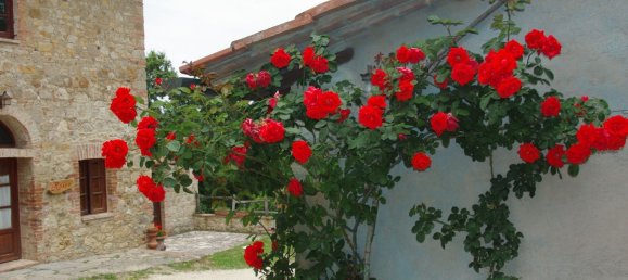 19 rooms Villa in Casole d'Elsa, Italy No. 233147 5