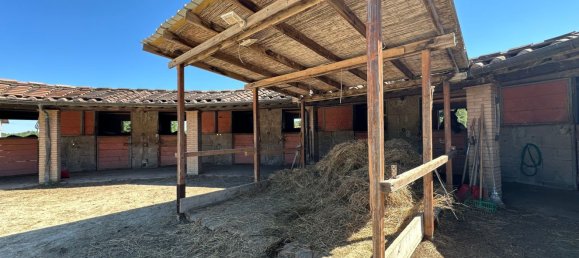 19 rooms Villa in Casole d'Elsa, Italy No. 233147 28