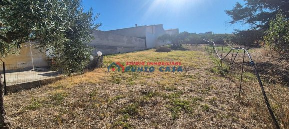 3 rooms House in Buseto Palizzolo, Italy No. 258029 21