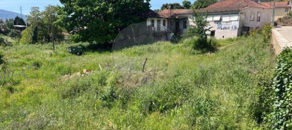 6 غرف نوم منزل في Macedo de Cavaleiros, Portugal رقم 39762 5