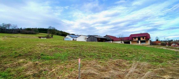 Grundstück in Zwettl-Niederösterreich, Austria, Nr. 100171 10