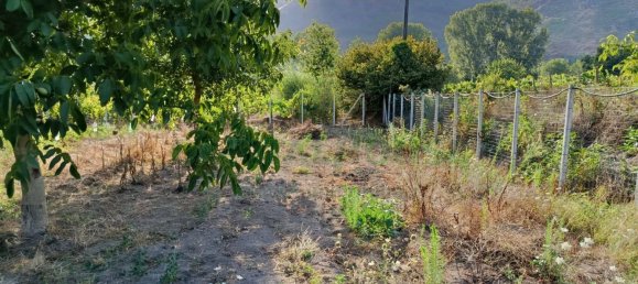 Земельный участок 5300м² в Монторо, Италия № 299233 9