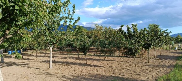 Земельный участок 5300м² в Монторо, Италия № 299233 10