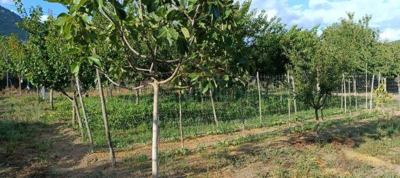 Земельный участок 5300м² в Монторо, Италия № 299233 4