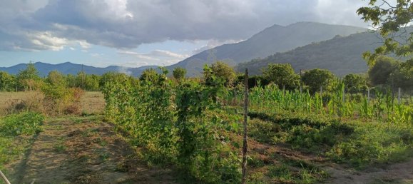 Земельный участок 5300м² в Монторо, Италия № 299233 6