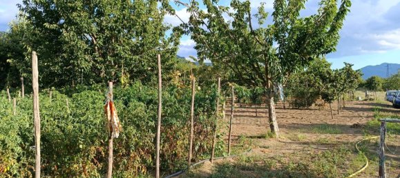 Земельный участок 5300м² в Монторо, Италия № 299233 8