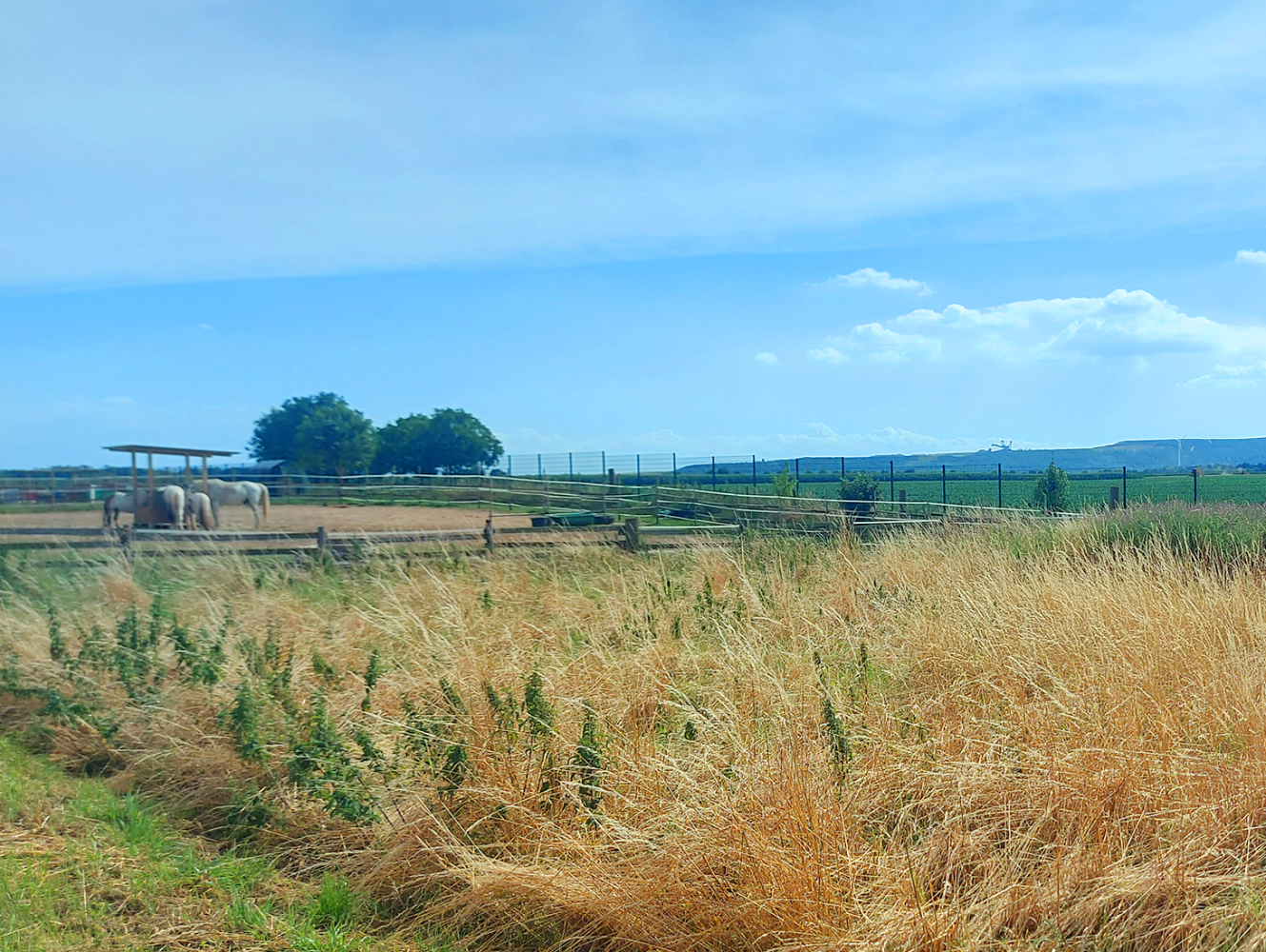 Terreno en Rhein-Erft, Germany No. 285447
