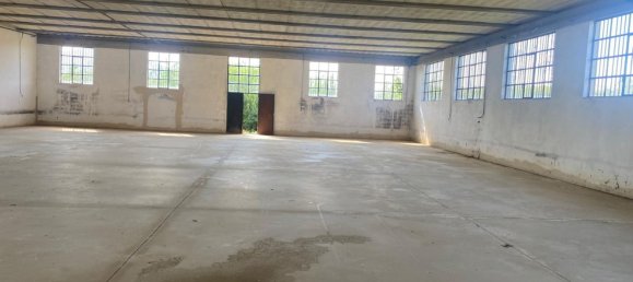 700m² Warehouse in Quarrata, Italy No. 284940 18