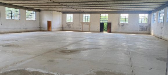 700m² Warehouse in Quarrata, Italy No. 284940 17