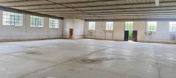 700m² Warehouse in Quarrata, Italy No. 284940 15