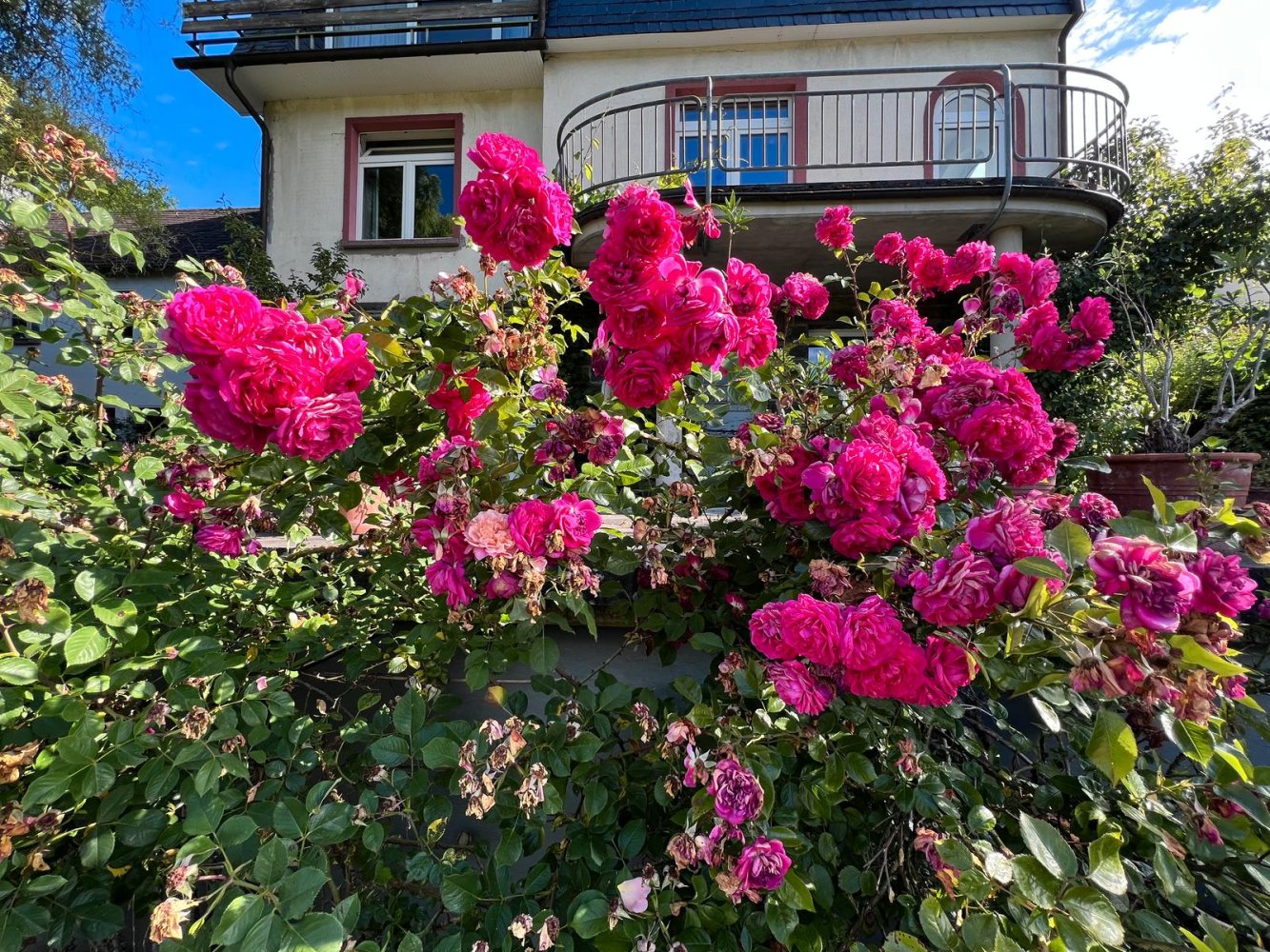 Villa de 9 habitaciónes en Siegen-Wittgenstein, Germany No. 340141