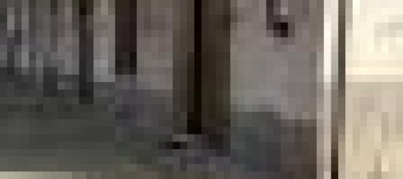 3 rooms Apartment in Orbassano, Italy No. 143247 7