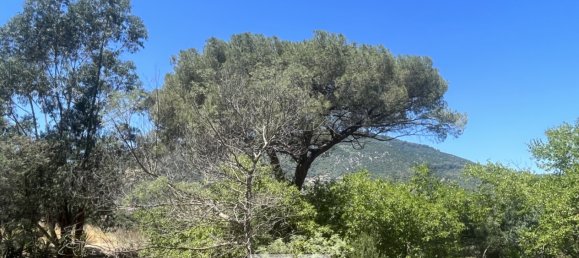 Квартира с 2 спальнями в Аяччо, Франция № 103263 3