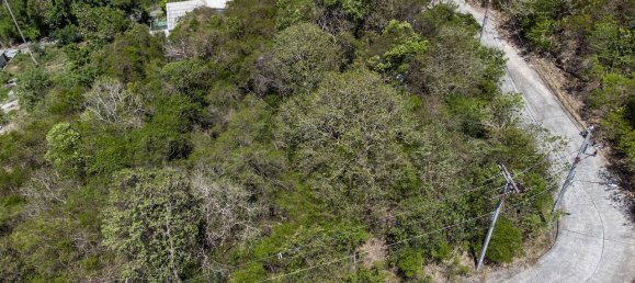 1200m² Commercial property in Ko Samui, Thailand No. 12286 4