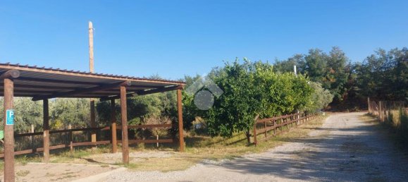 5 bedrooms House in Sellia Marina, Italy No. 329160 22