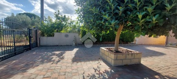 5 bedrooms House in Sellia Marina, Italy No. 329160 15