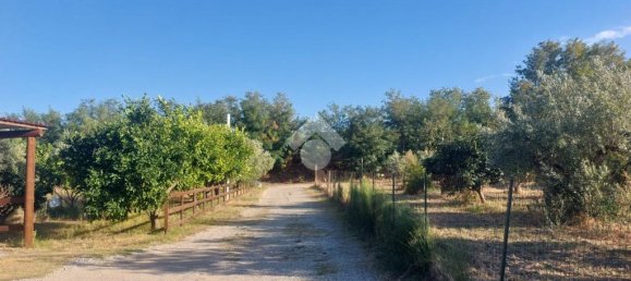 5 bedrooms House in Sellia Marina, Italy No. 329160 21