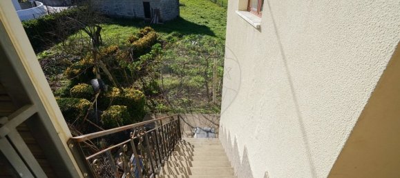 8 bedrooms House in Povoa de Lanhoso, Portugal No. 167006 2