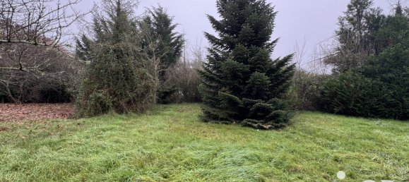 Земельный участок в Вильфранш-сюр-Шер, Франция № 47575 7