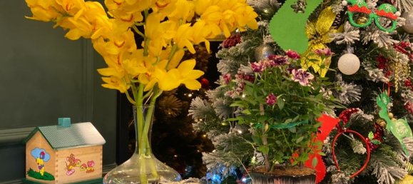 2 rooms Office in District 7, Vietnam No. 16437 3