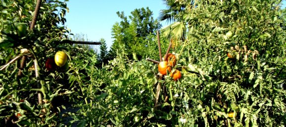 6 Schlafzimmer Villa in Coin, Spain, Nr. 32116 7