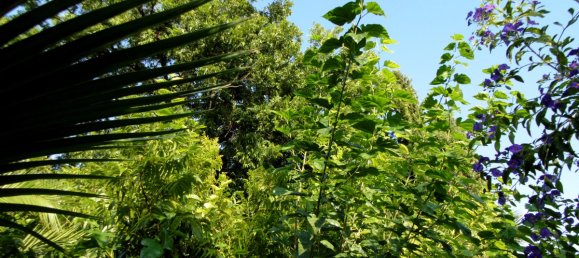 6 Schlafzimmer Villa in Coin, Spain, Nr. 32116 10