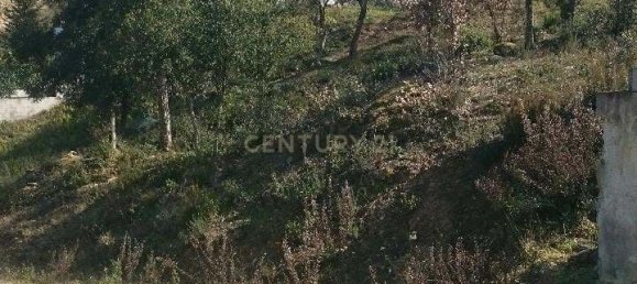 Terrain à Barcelona, Spain 805m² No. 159555 8