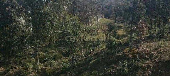 Terrain à Barcelona, Spain 805m² No. 159555 7