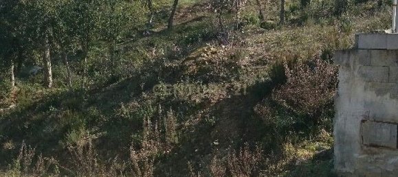 Terrain à Barcelona, Spain 805m² No. 159555 6