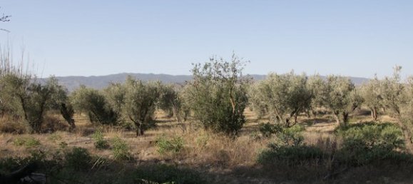 Terrain à Almeria, Spain No. 79922 12