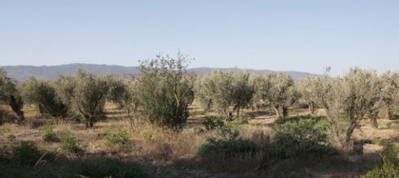 Terrain à Almeria, Spain No. 79922 10