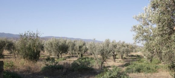 Terrain à Almeria, Spain No. 79922 21