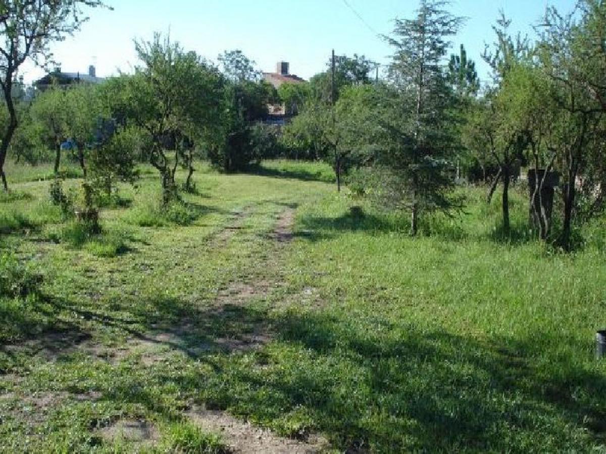  قطعة أرض في Cordoba, Argentina رقم 50512