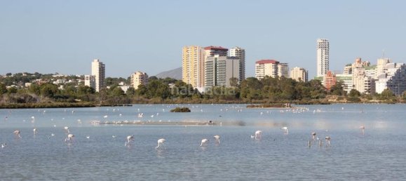 2 bedrooms Bungalow in Calpe, Spain No. 45320 28