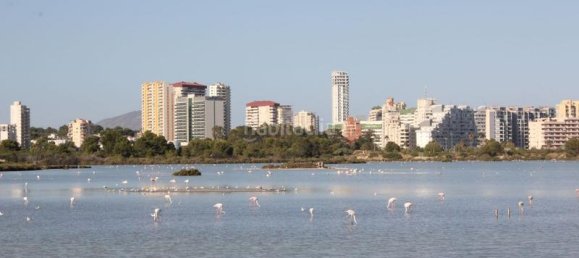 2 bedrooms Bungalow in Calpe, Spain No. 45320 29