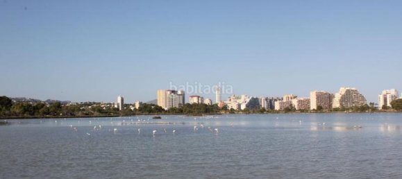 2 bedrooms Bungalow in Calpe, Spain No. 45320 26