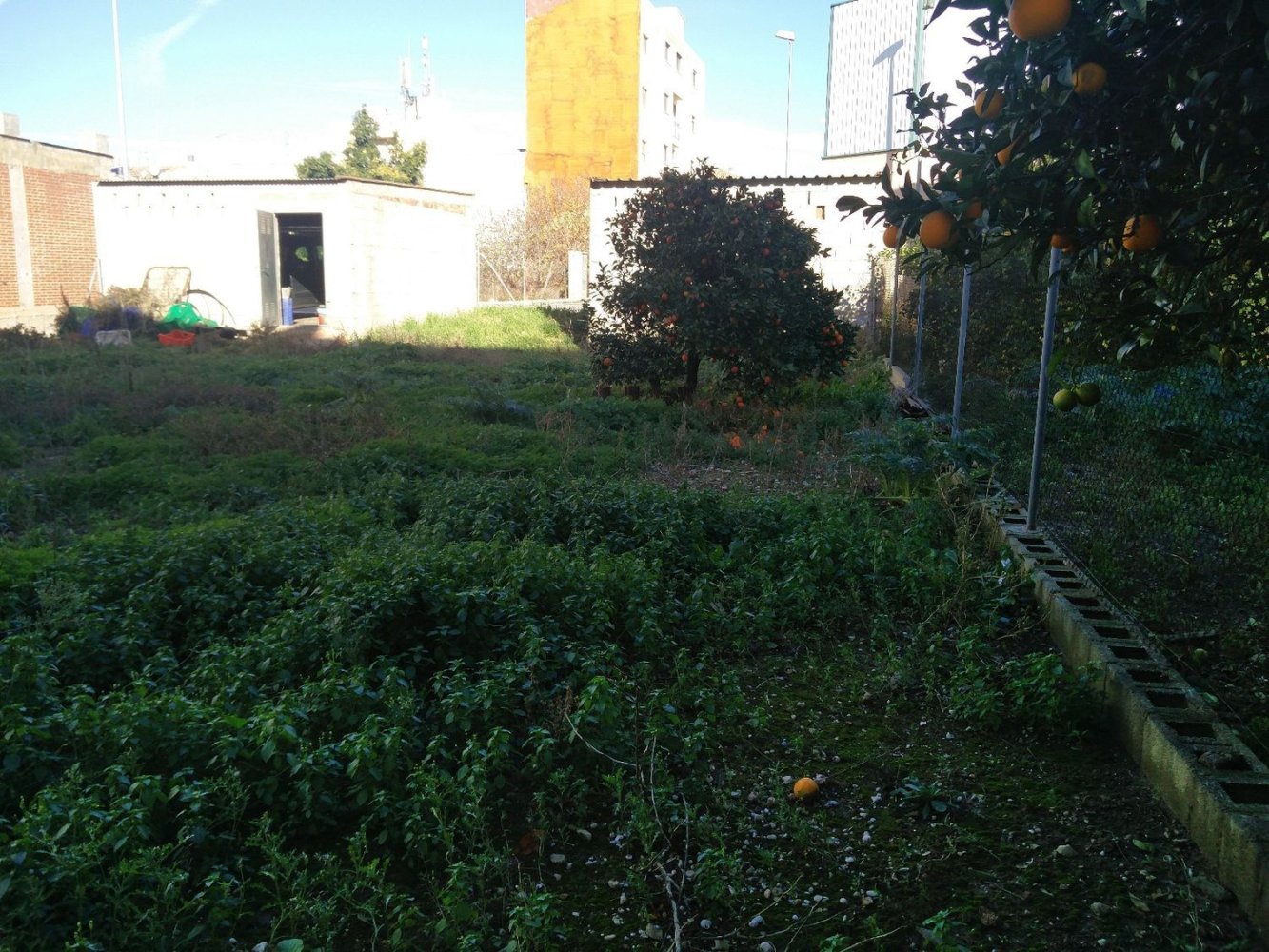  Land in Miramar, Spain No. 205324