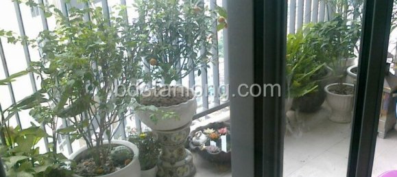 2 Schlafzimmer Wohnung in Dong Da, Vietnam, Nr. 6666 2