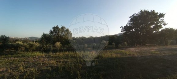 1 Schlafzimmer Haus in Goncalo, Portugal, Nr. 65675 4