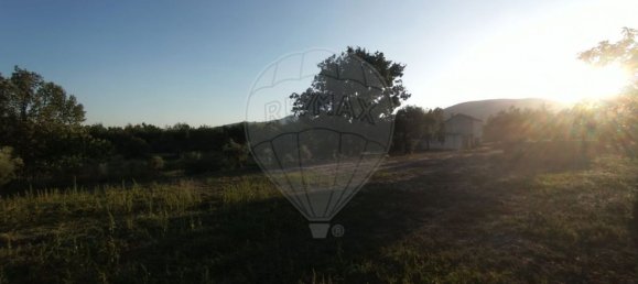 1 Schlafzimmer Haus in Goncalo, Portugal, Nr. 65675 3