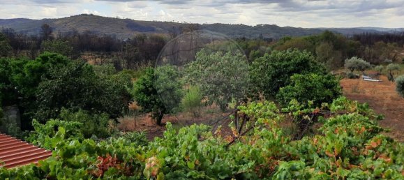 1 Schlafzimmer Haus in Goncalo, Portugal, Nr. 65675 10