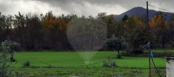 1 Schlafzimmer Haus in Goncalo, Portugal, Nr. 65675 5